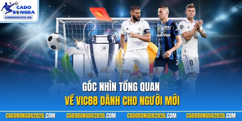 Góc nhìn tổng quan về VIC88 dành cho người mới