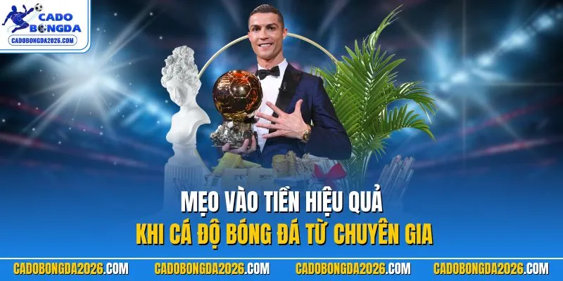 Mẹo vào tiền hiệu quả khi Cá Độ Bóng Đá từ chuyên gia