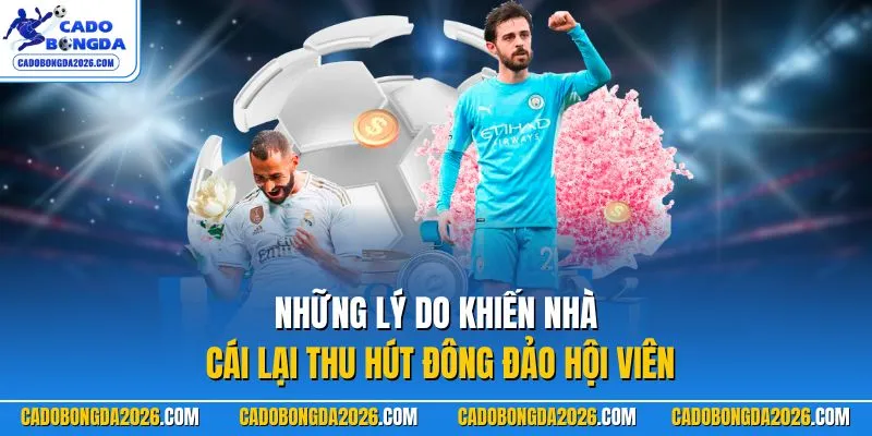 Những lý do khiến nhà cái lại thu hút đông đảo hội viên